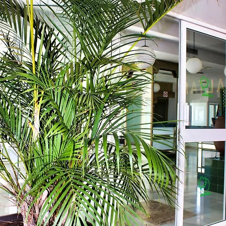 Apartment Altamira Sunset *